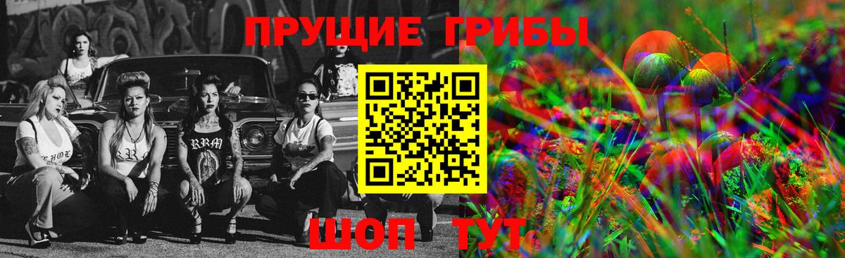 Галлюциногенные грибы Cubensis  Галлюциногенные грибы ЛСД  Вход с VPN  Асино 