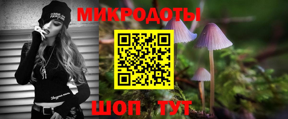 Псилоцибиновые грибы Psilocybe Асино